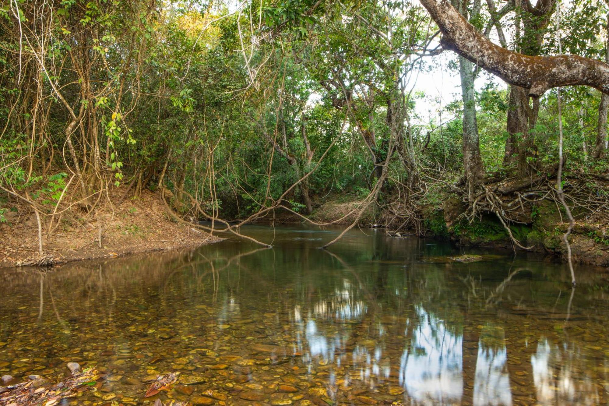 Camping das Aguas Pirenopolis Bagian luar foto